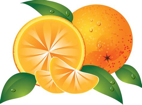 free clip art oranges|orange clip art free images.